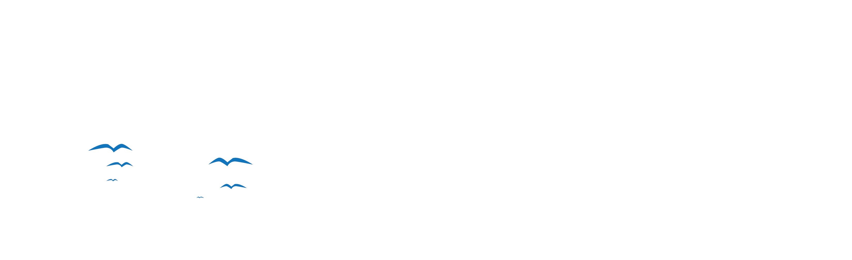 Coastal Media and Design